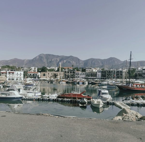 pexels-mehmet-turgut-kirkgoz-19448987